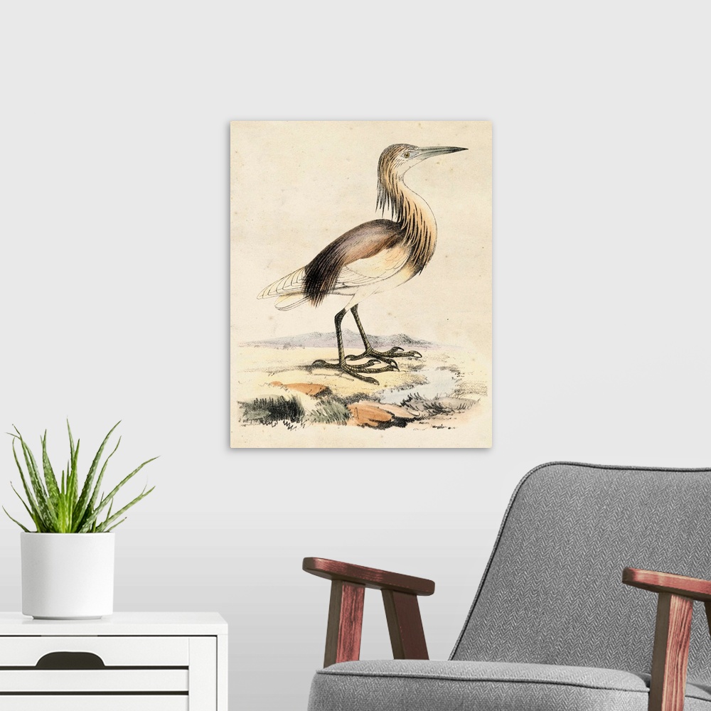 A modern room featuring Antique Heron I