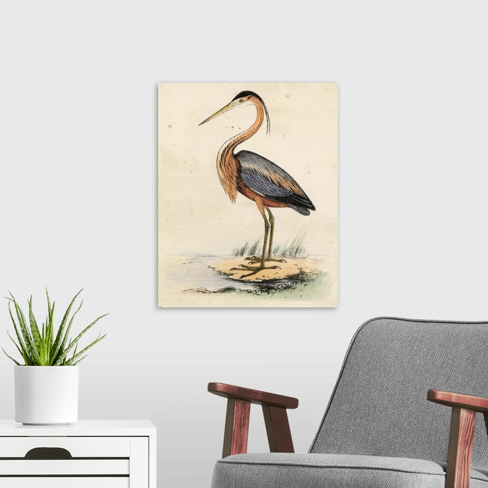 A modern room featuring Antique Heron II