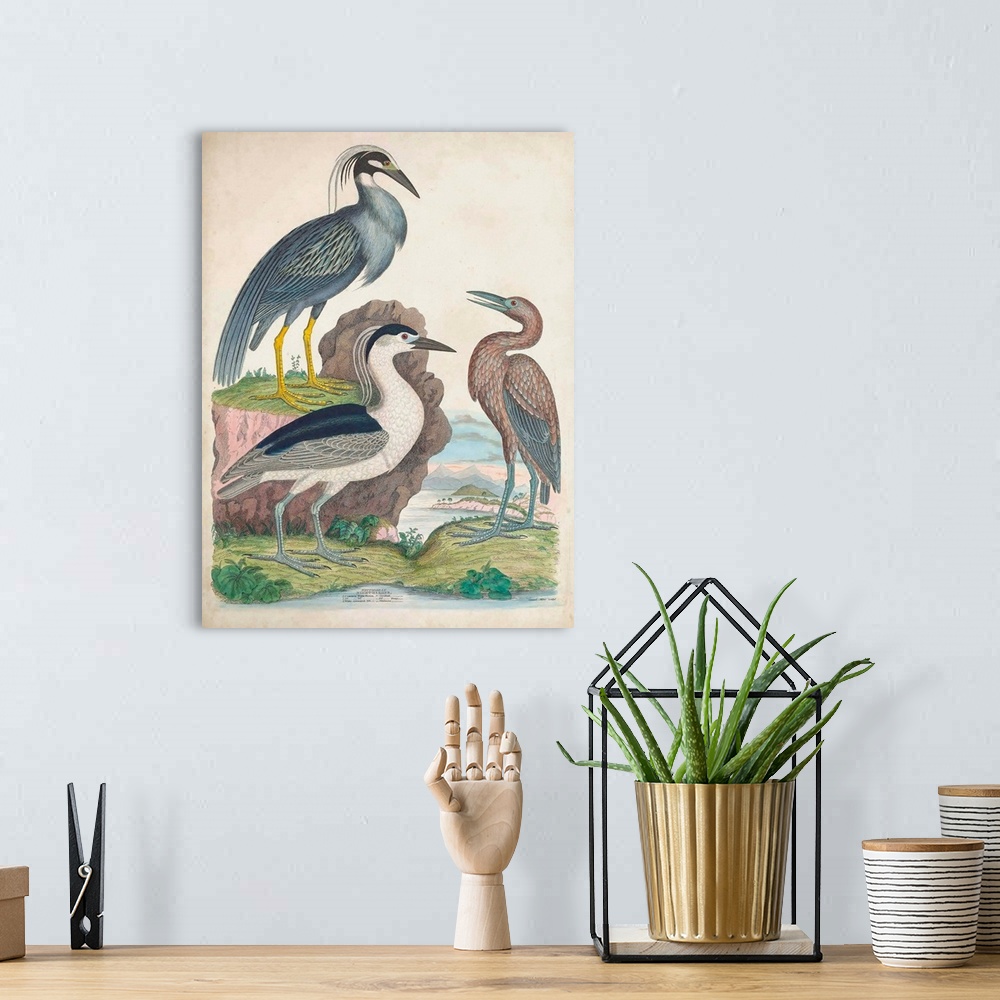 A bohemian room featuring Antique Heron & Waterbirds I