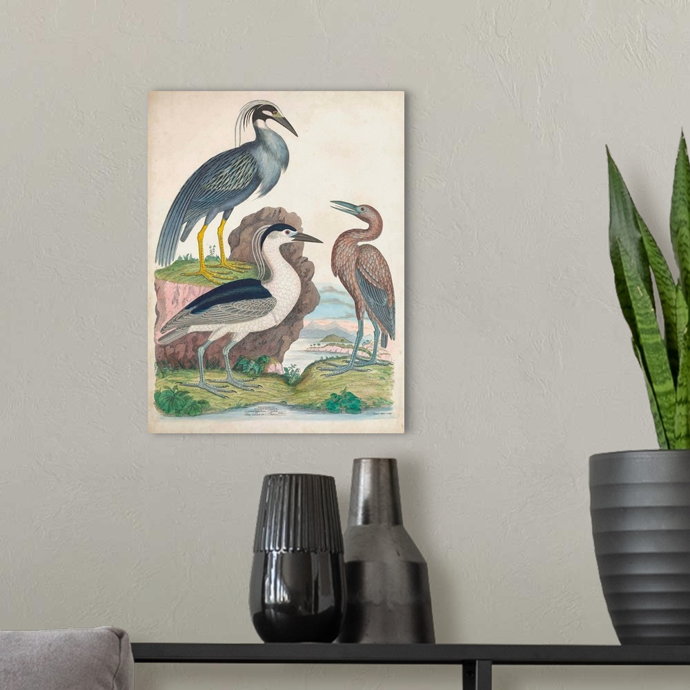 A modern room featuring Antique Heron & Waterbirds I