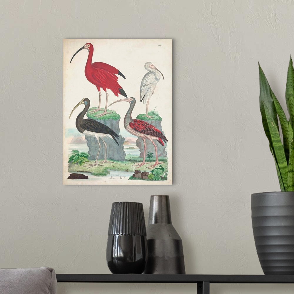 A modern room featuring Antique Heron & Waterbirds II