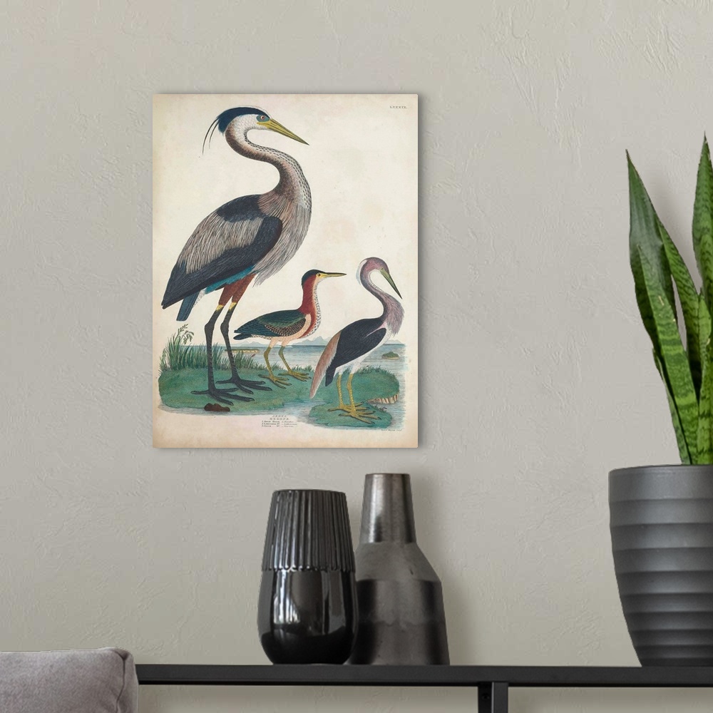 A modern room featuring Antique Heron & Waterbirds IV
