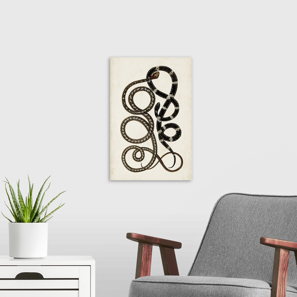 A modern room featuring Antique Snakes II