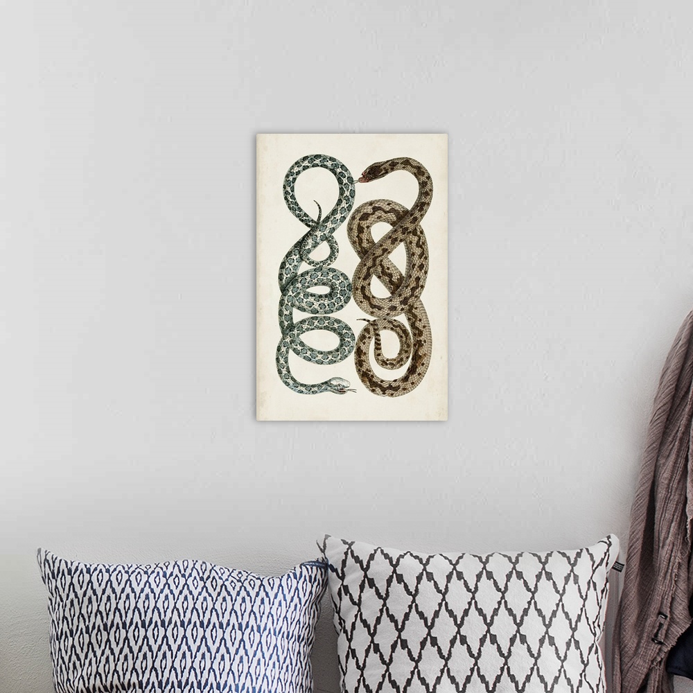 A bohemian room featuring Antique Snakes IV