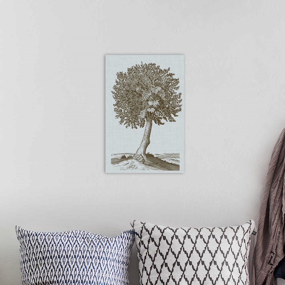 A bohemian room featuring This decorative artwork features an illustrative tree in sepia over a soft blue linen patterned b...