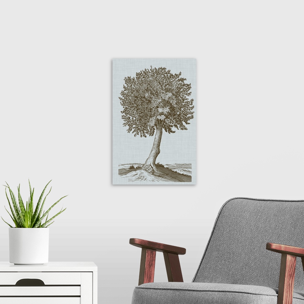 A modern room featuring This decorative artwork features an illustrative tree in sepia over a soft blue linen patterned b...