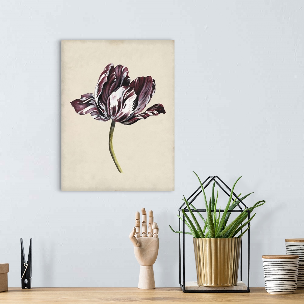 A bohemian room featuring Antique Tulip Study I