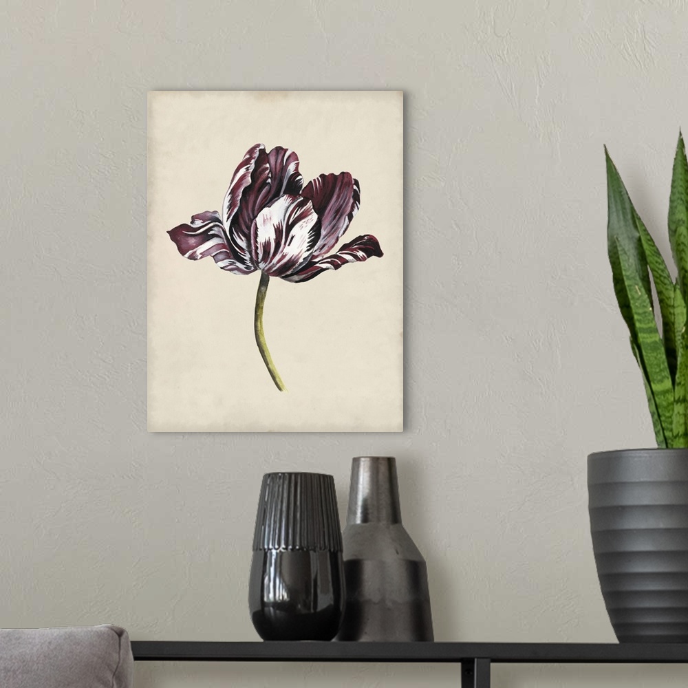 A modern room featuring Antique Tulip Study I