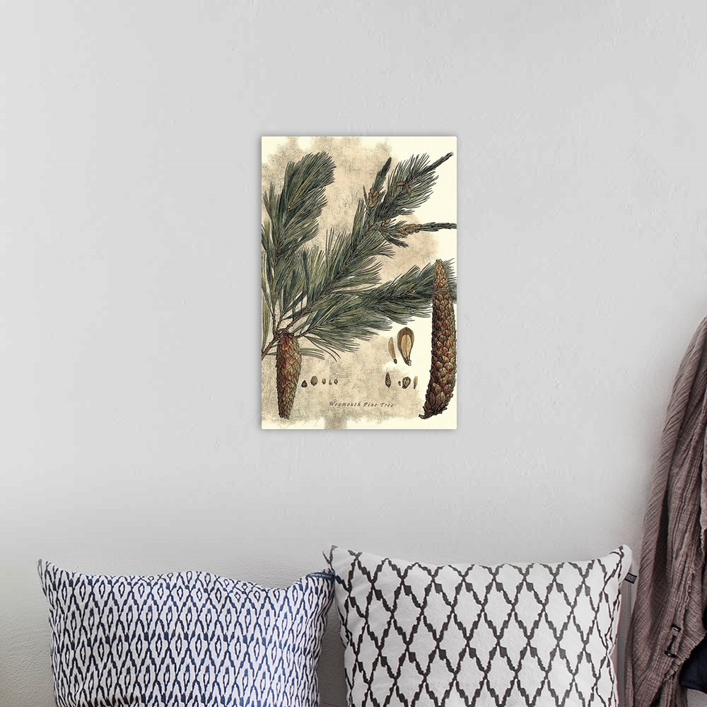 A bohemian room featuring Vintage stylized illustration of a tree branch with pine cones hanging from it.