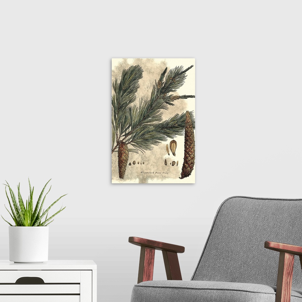 A modern room featuring Vintage stylized illustration of a tree branch with pine cones hanging from it.
