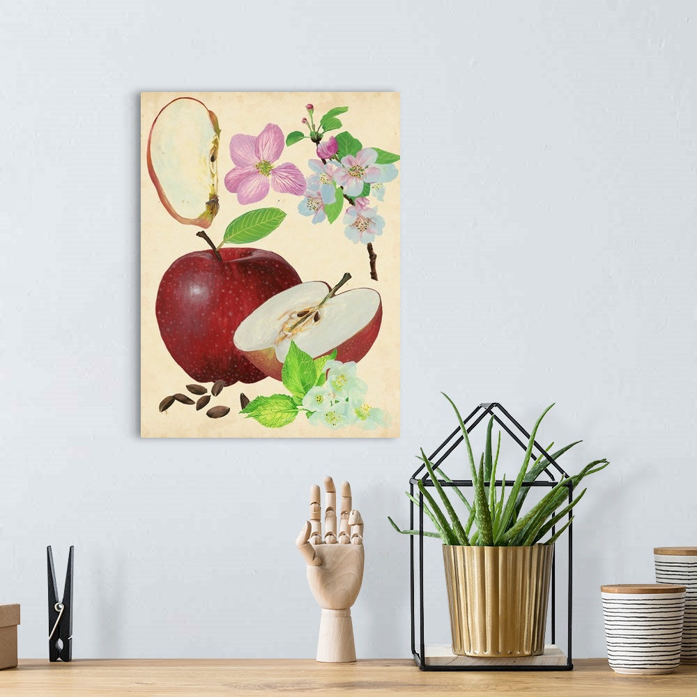 A bohemian room featuring Illustration of an apple whole, halves, seeds, and blossoms.