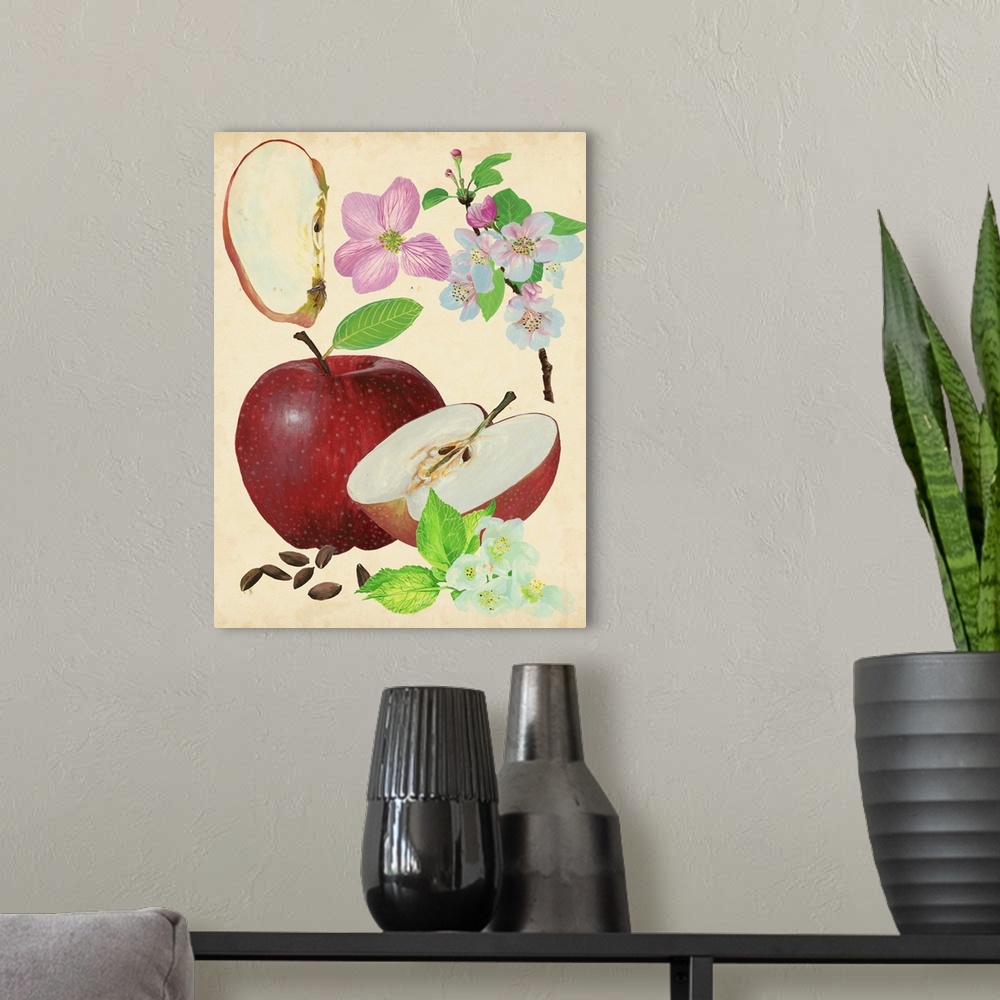 A modern room featuring Illustration of an apple whole, halves, seeds, and blossoms.