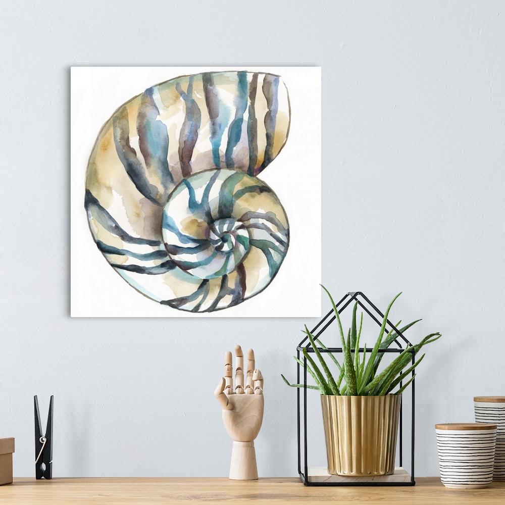 A bohemian room featuring Detailed watercolor painting of a striped spiral seashell.