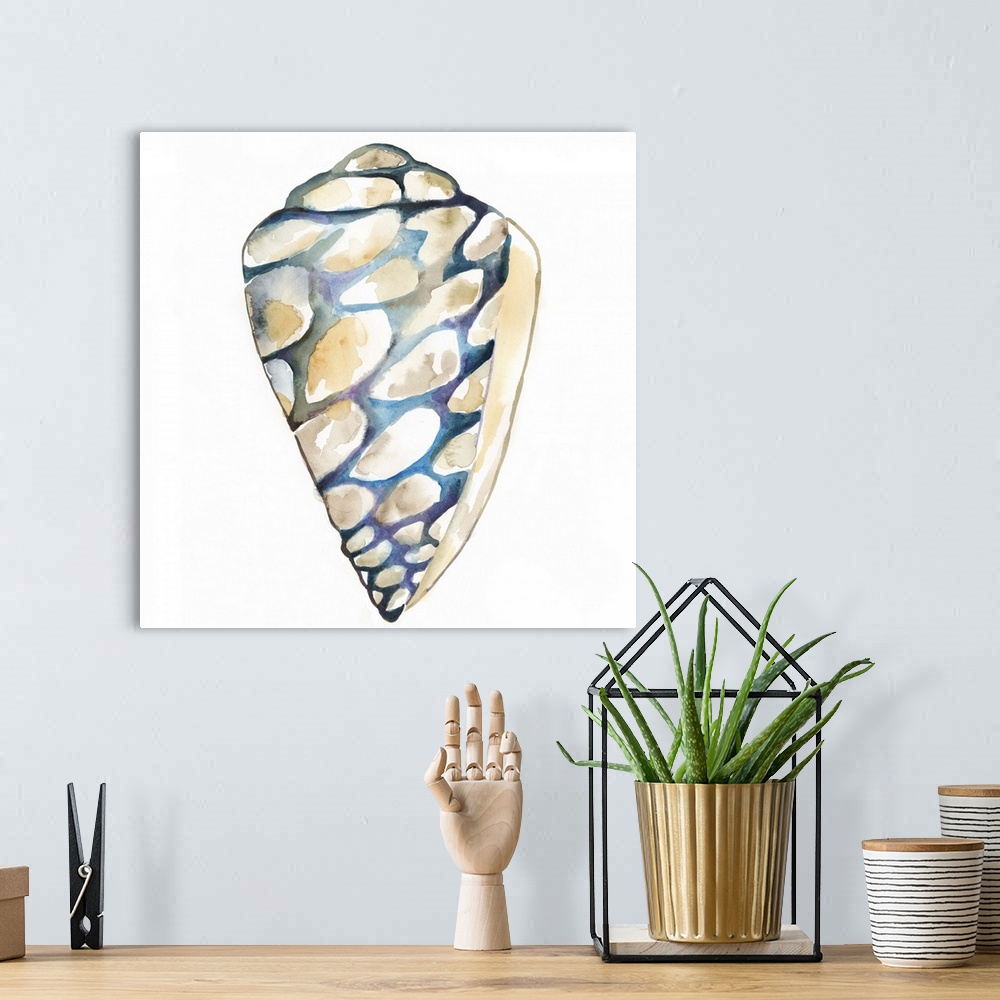 A bohemian room featuring Detailed watercolor painting of a spotted spiral seashell.
