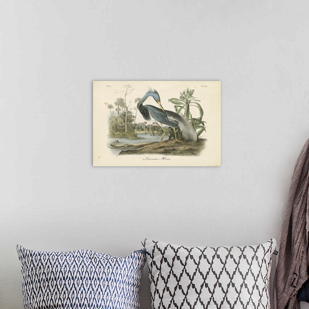 A bohemian room featuring Contemporary artwork of a vintage stylized bird illustration.