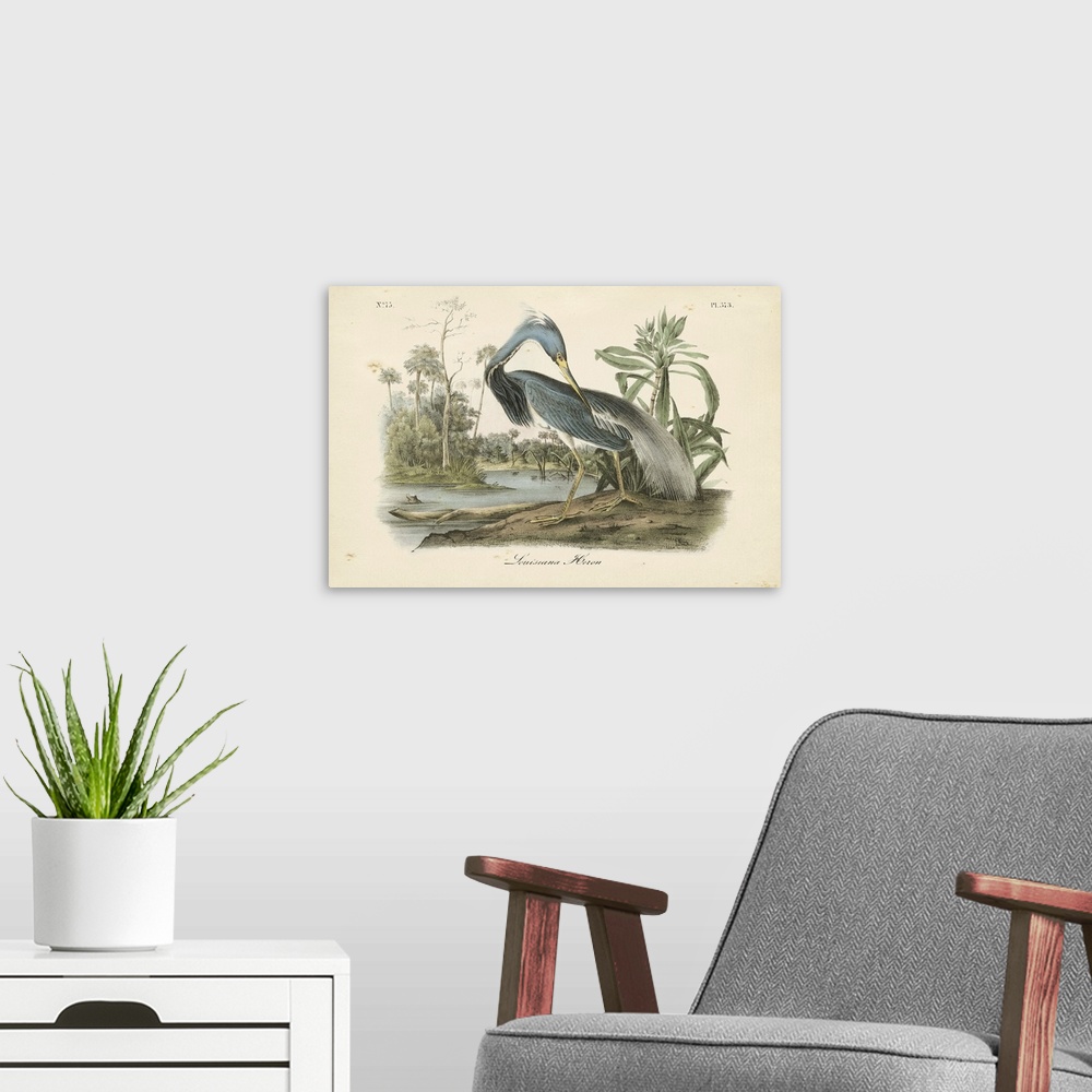 A modern room featuring Contemporary artwork of a vintage stylized bird illustration.