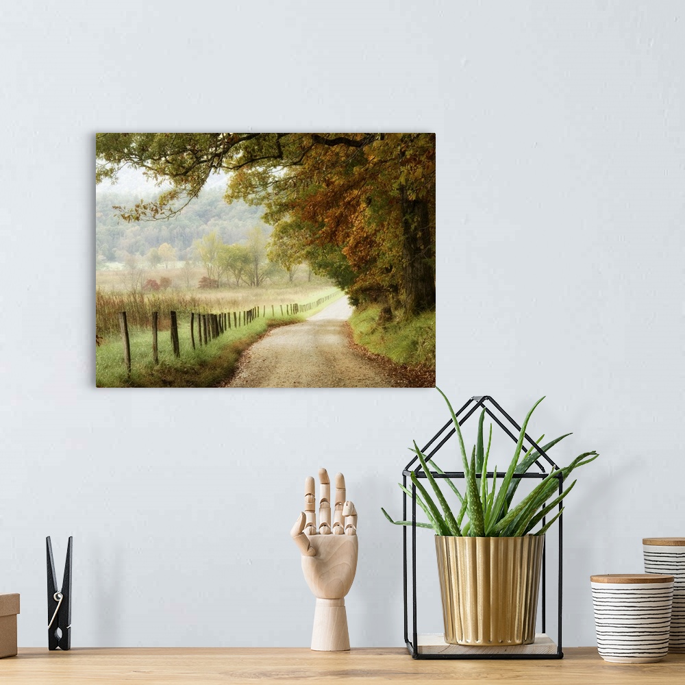 A bohemian room featuring Autumn on a Country Road