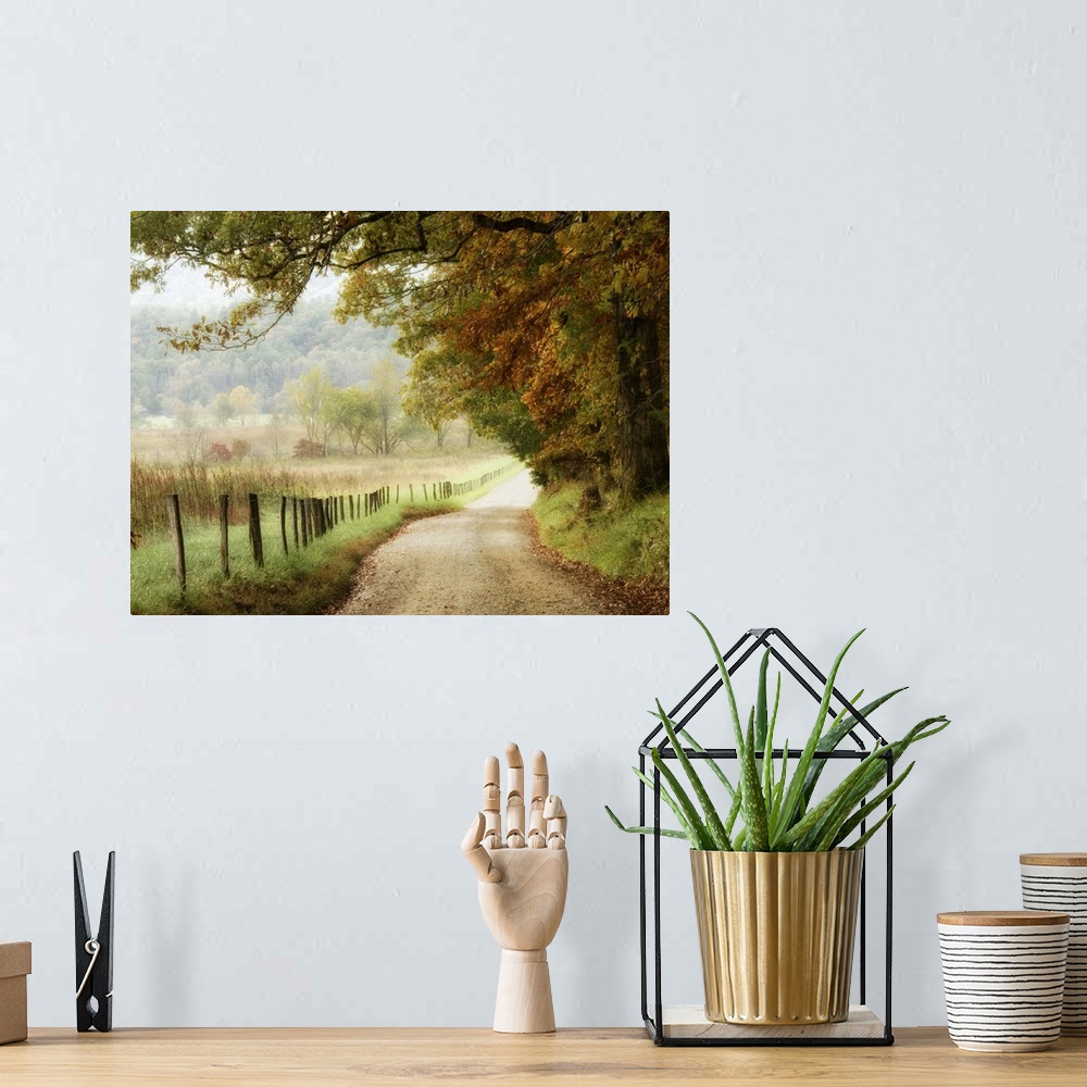 A bohemian room featuring Autumn on a Country Road