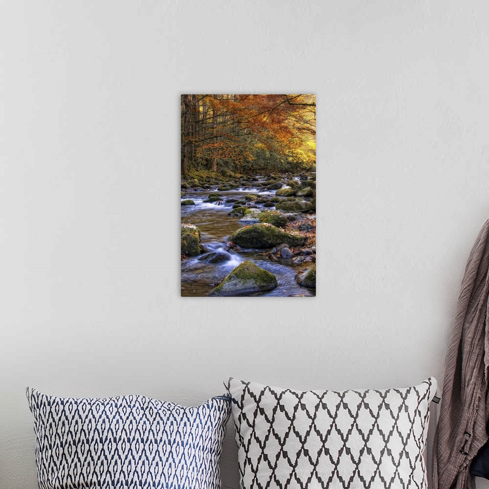 A bohemian room featuring Autumn on Little River