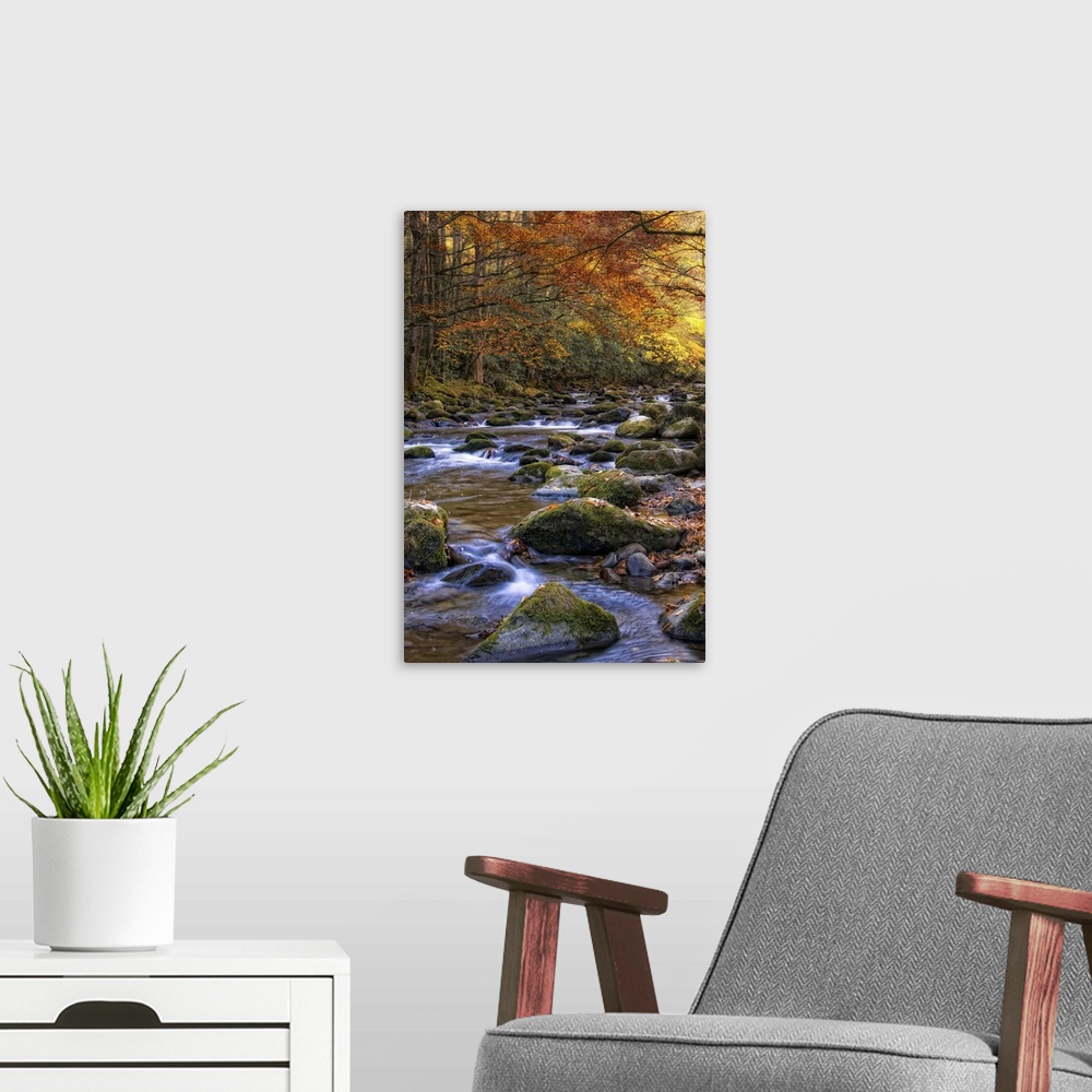 A modern room featuring Autumn on Little River