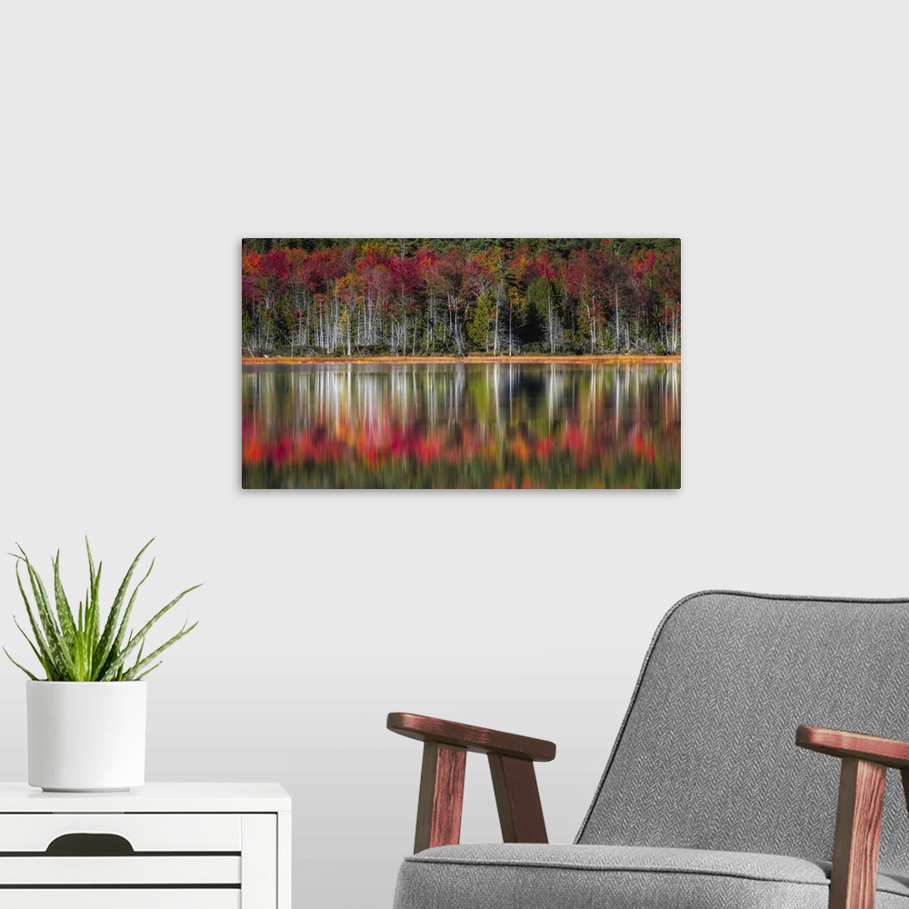A modern room featuring Autumn Reflections