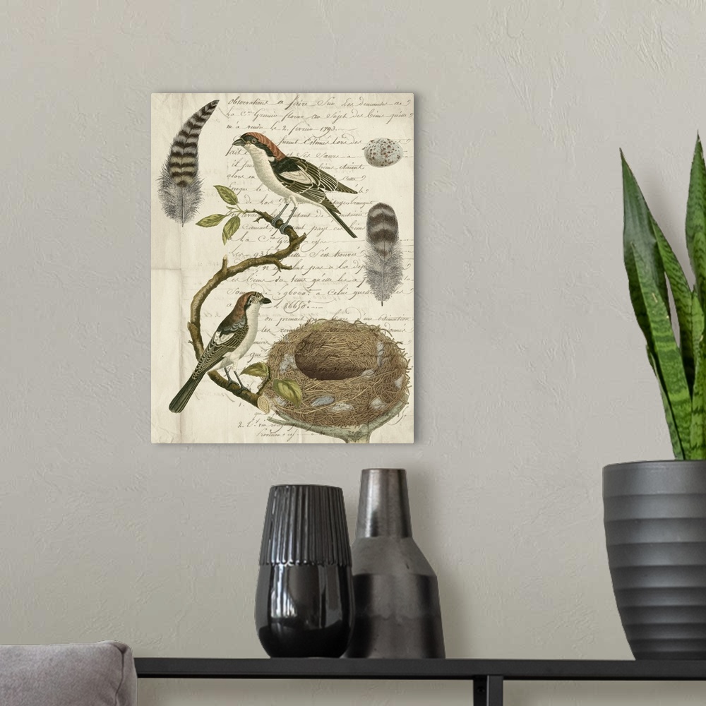 A modern room featuring This illustration features two birds perched on a branch with detailed studies of feathers, nest ...