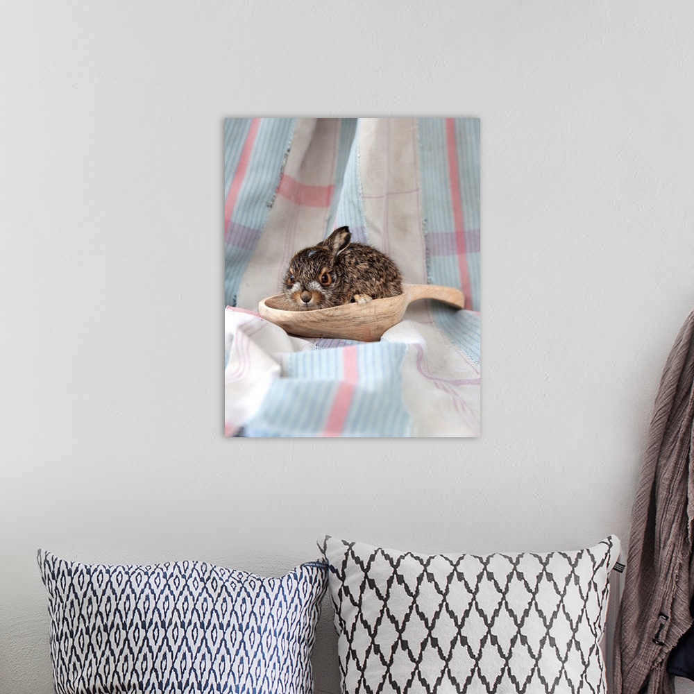 A bohemian room featuring Baby Rabbit I