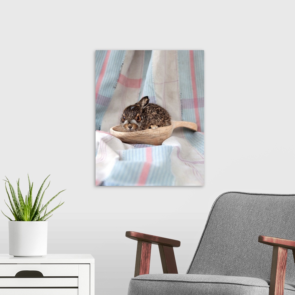 A modern room featuring Baby Rabbit I