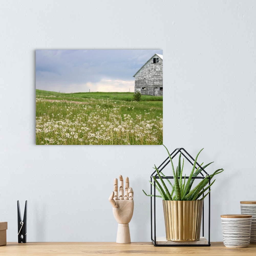 A bohemian room featuring Barn Scape II