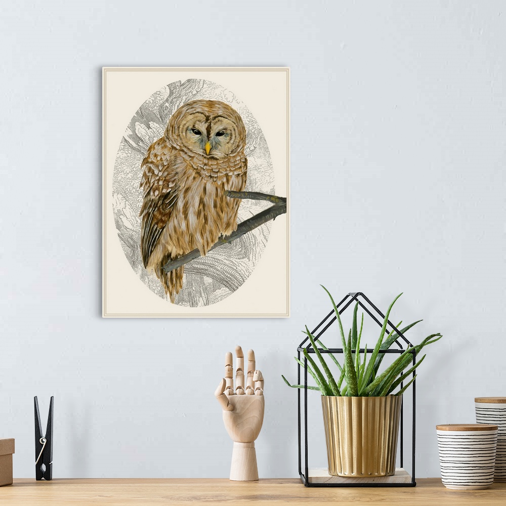 A bohemian room featuring Illustration of a sleepy barred owl in an oval cameo frame.
