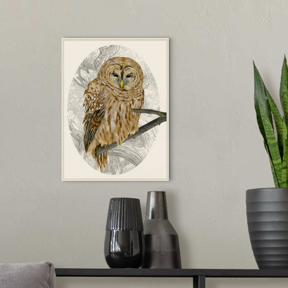 A modern room featuring Illustration of a sleepy barred owl in an oval cameo frame.