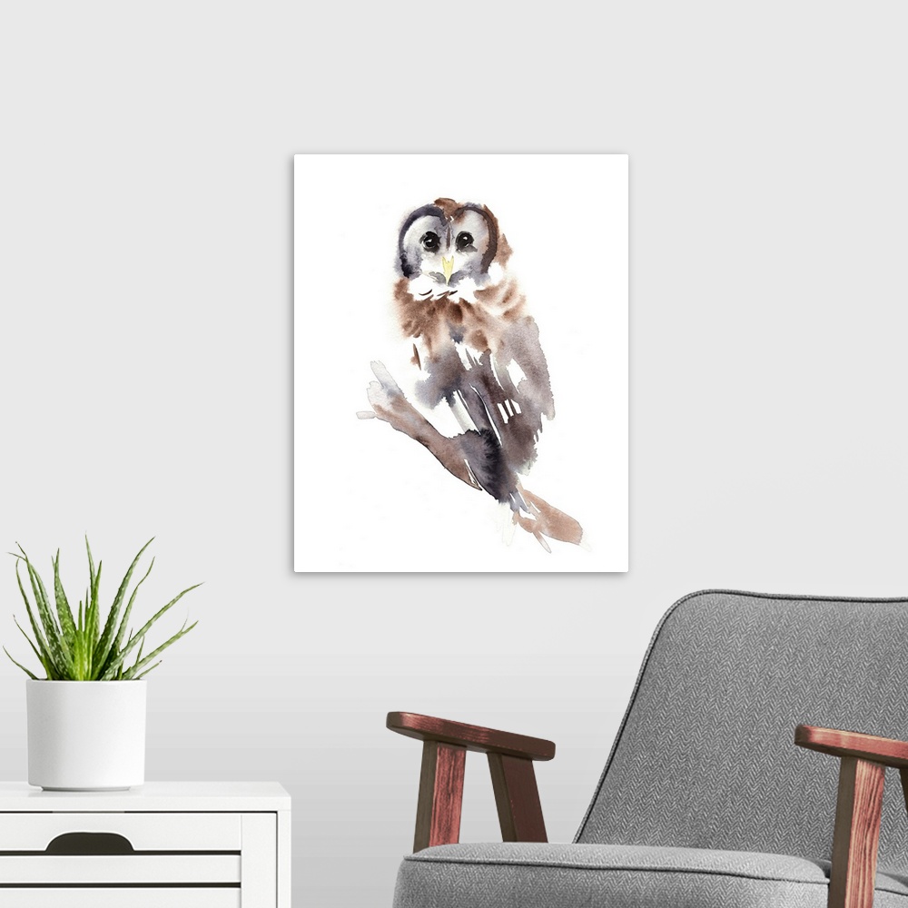A modern room featuring Barred Owl Impressions II