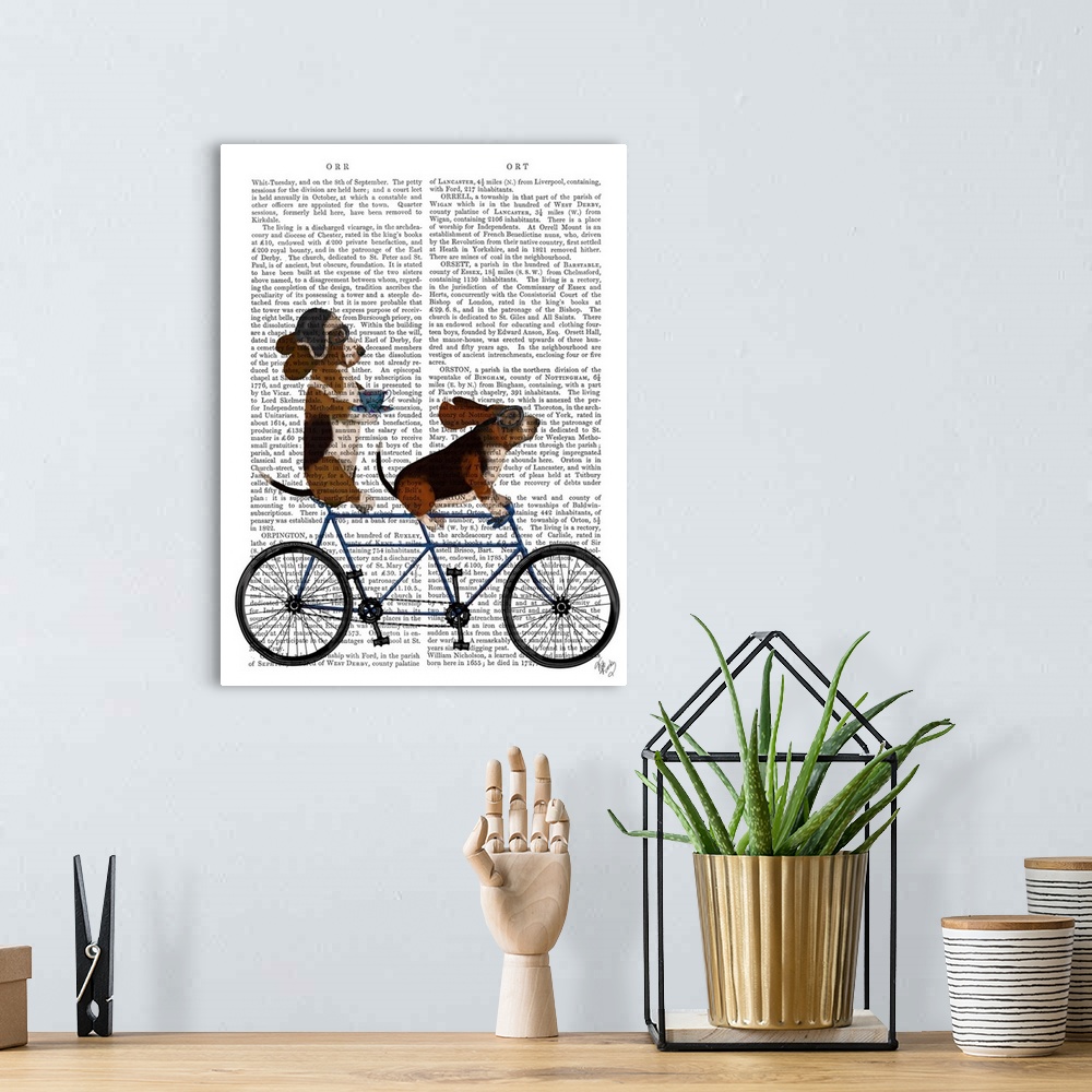 A bohemian room featuring Decorative artwork of two Basset Hounds riding a tandem bicycle, painted on the page of a book.