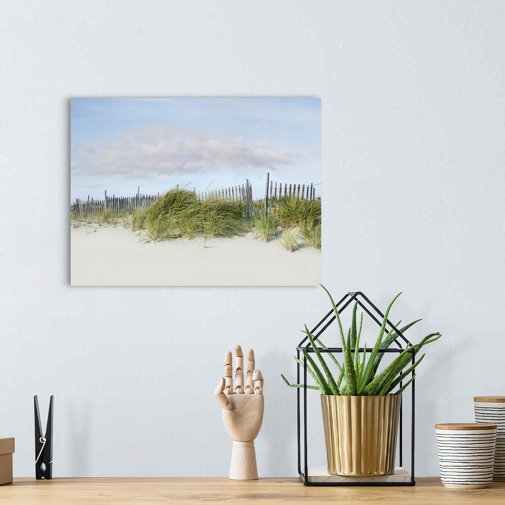 A bohemian room featuring Photograph of a relaxing beachscape with the wind blowing.