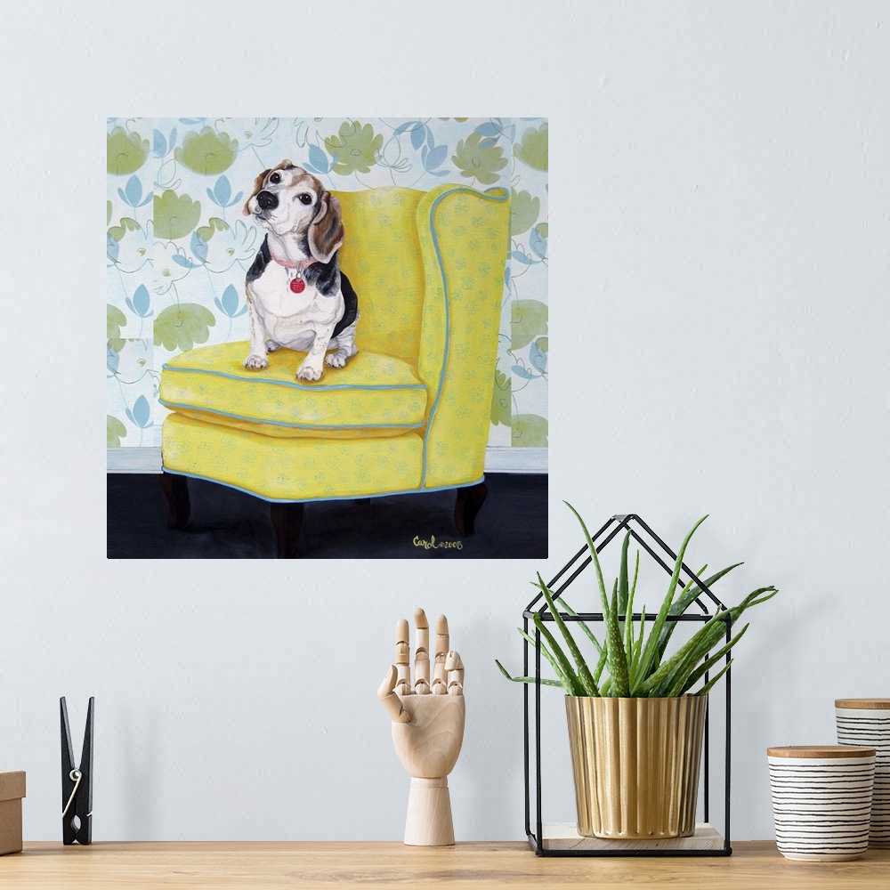A bohemian room featuring Beagle on Yellow