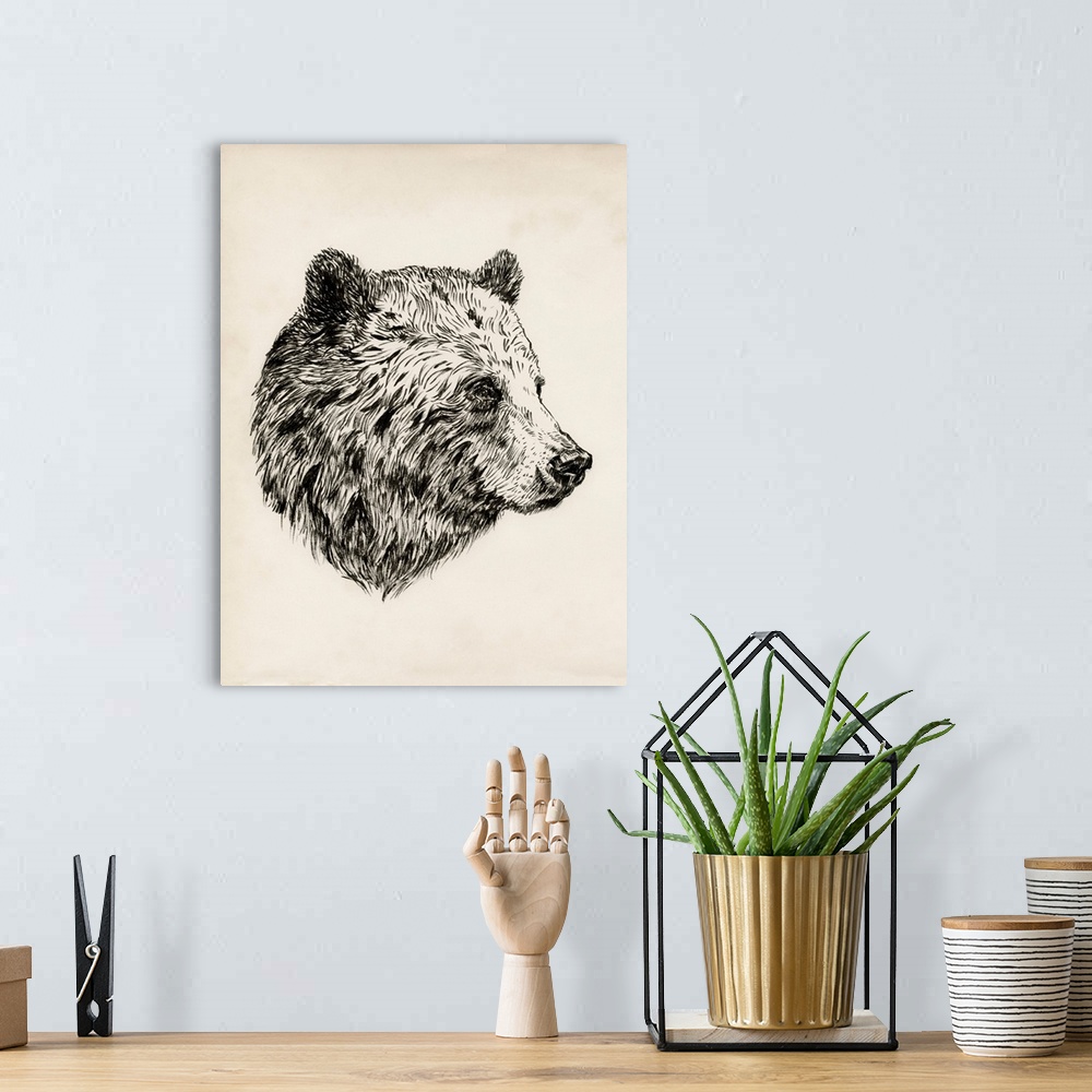A bohemian room featuring Bear Ink Sketch I