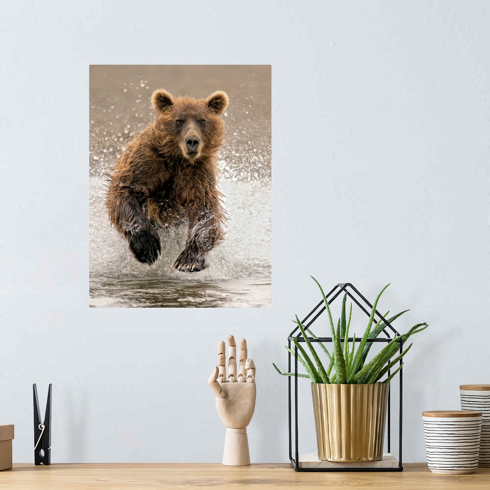 A bohemian room featuring Bears at Play II