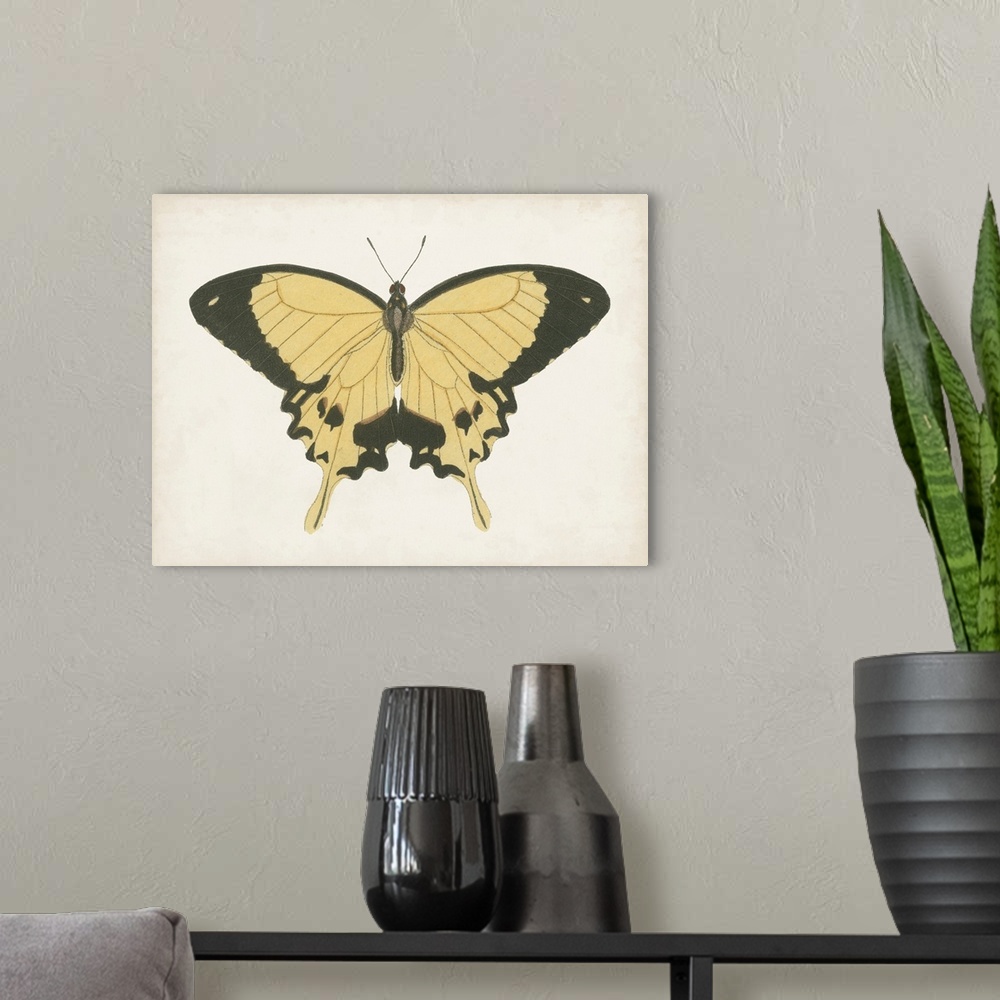 A modern room featuring Beautiful Butterfly I