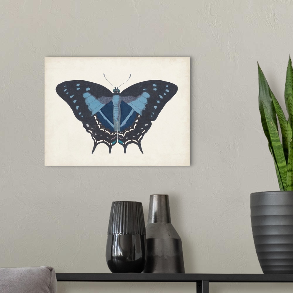 A modern room featuring Beautiful Butterfly III