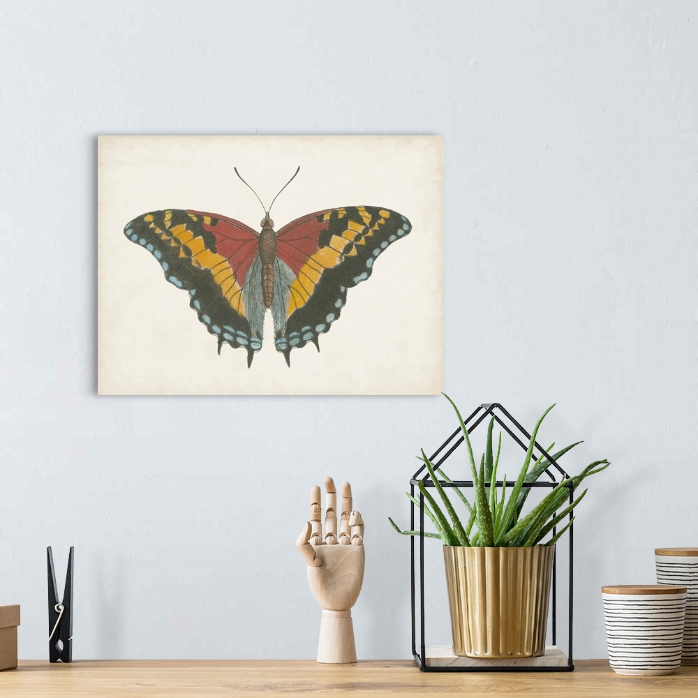 A bohemian room featuring Beautiful Butterfly IV