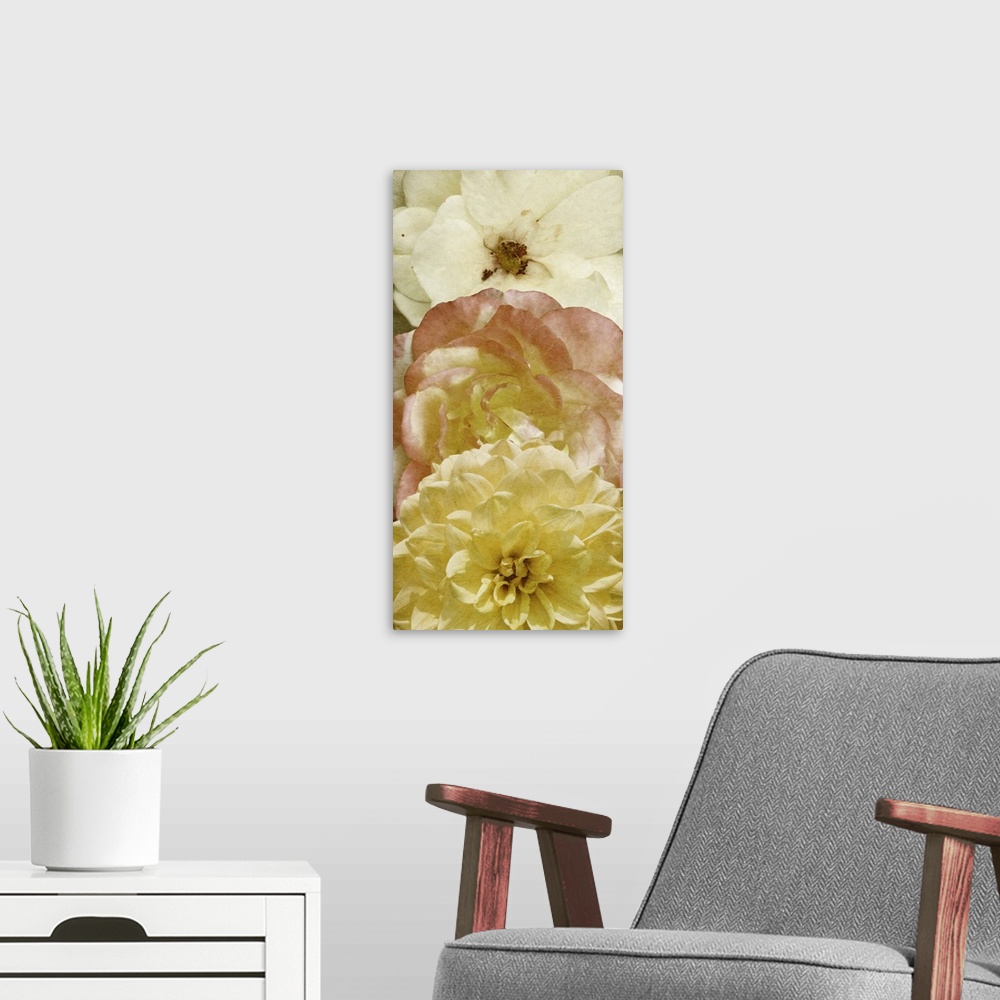 A modern room featuring A close up photo of three flowers in soft pink, white and yellow hues stacked on top of each other.