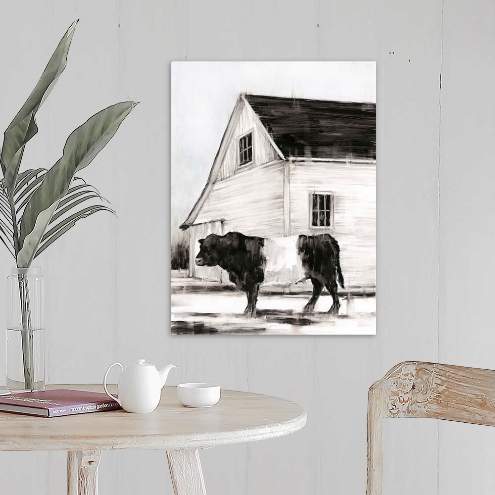 A farmhouse room featuring Belted Galloway II