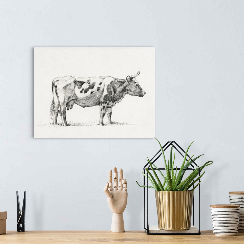 A bohemian room featuring Bernard Cow Sketch III
