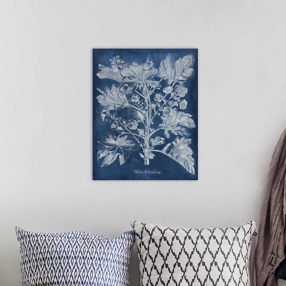 A bohemian room featuring Vintage-inspired botanical illustration of besler leaves on an indigo background.