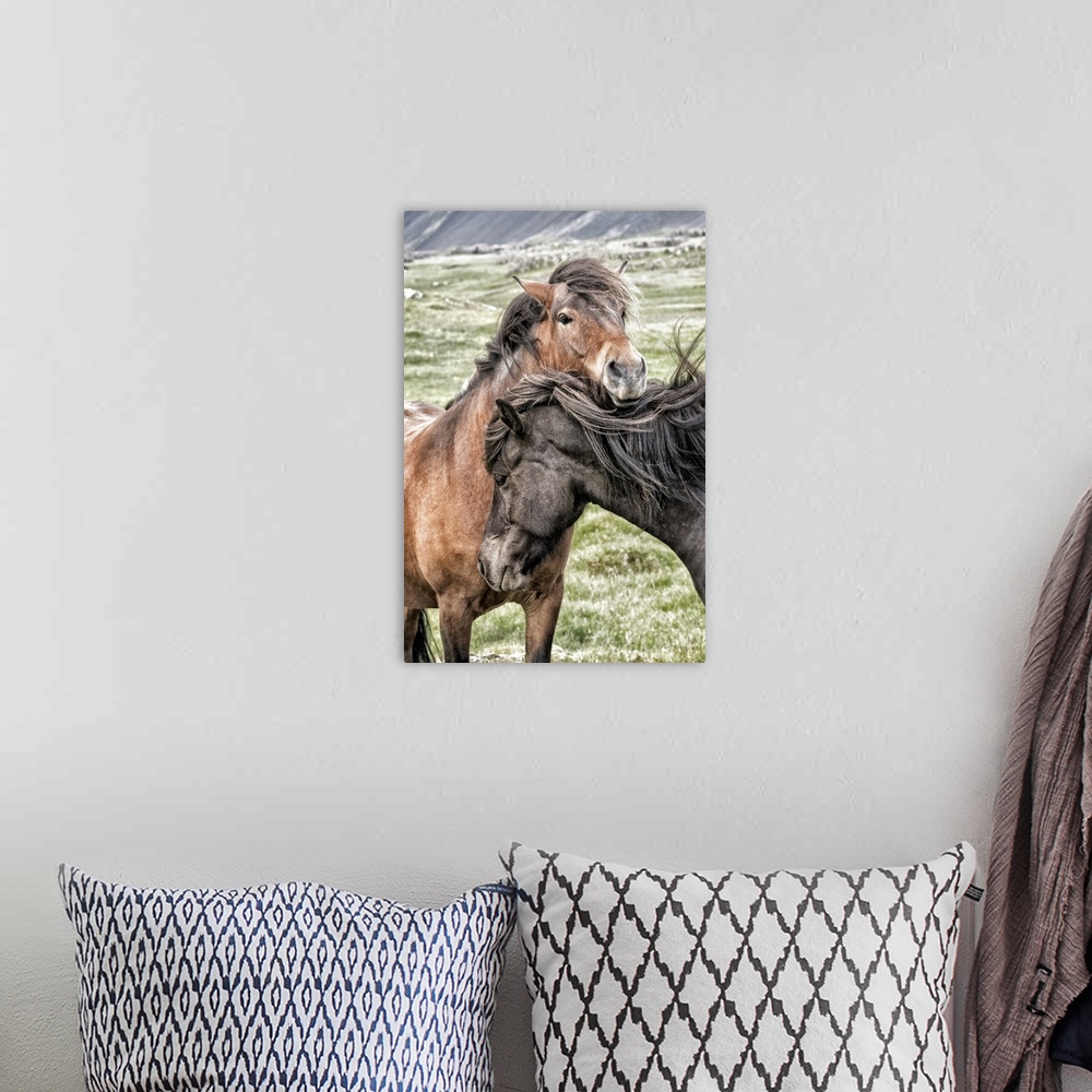 A bohemian room featuring Photograph of two horses in grassy field showing affection on windy day.