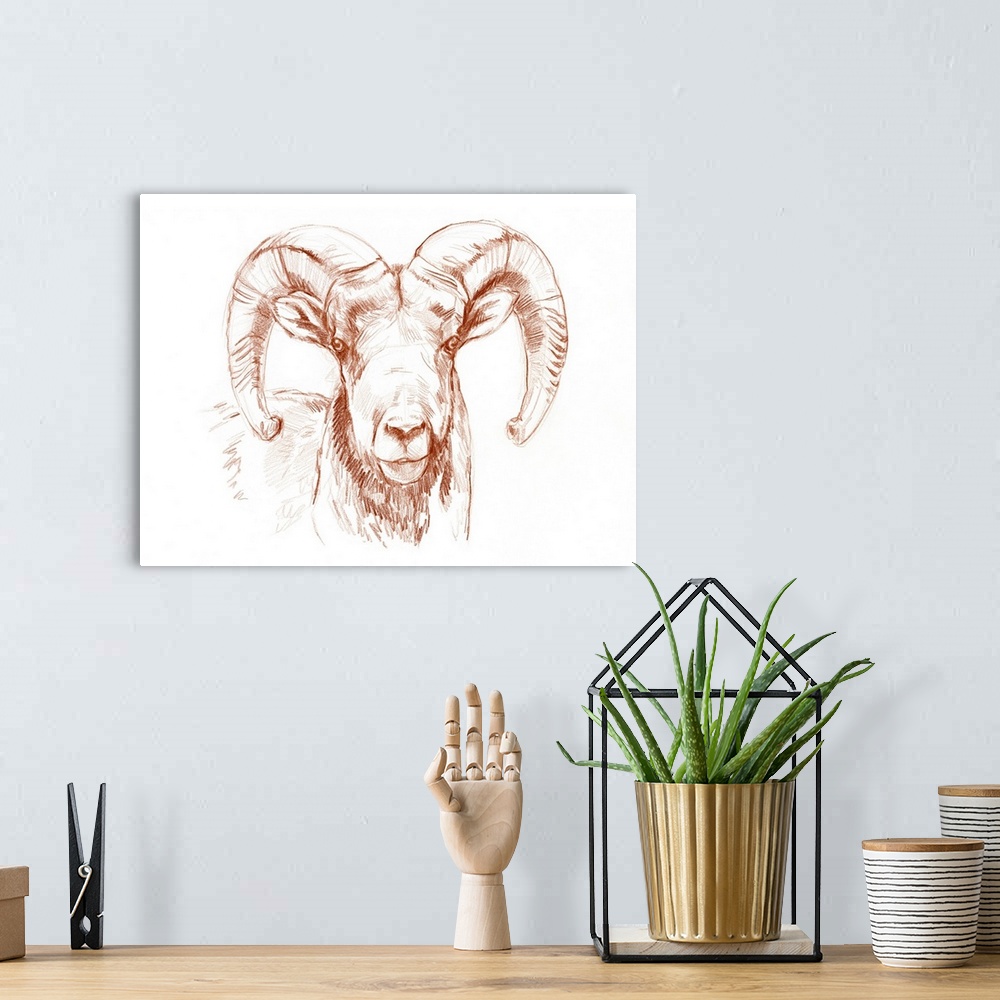 A bohemian room featuring Big Horn Sheep II