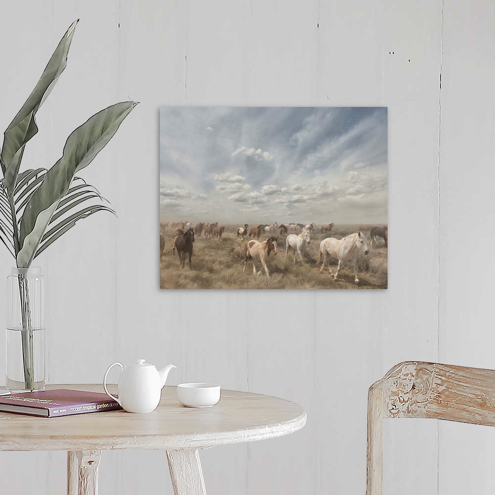 A farmhouse room featuring Photograph of a herd of wild horses moving along a dry landscape.