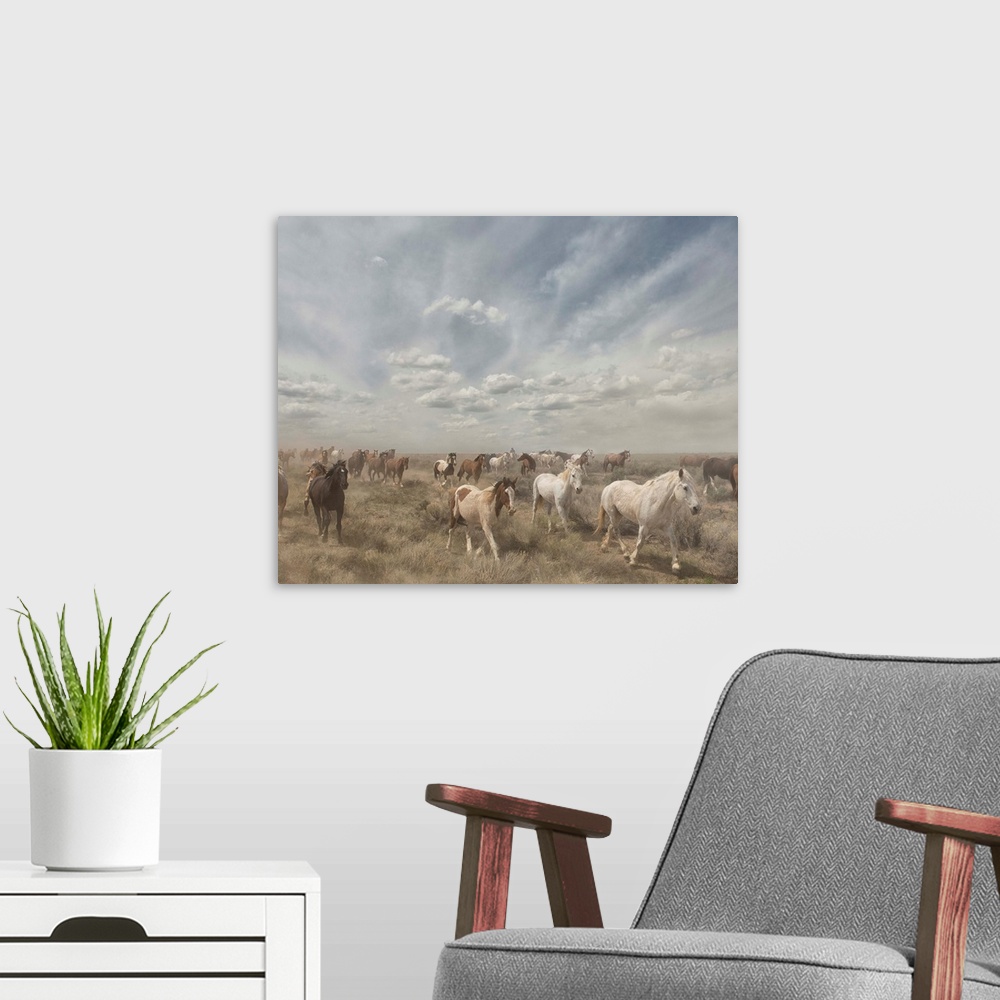 A modern room featuring Photograph of a herd of wild horses moving along a dry landscape.