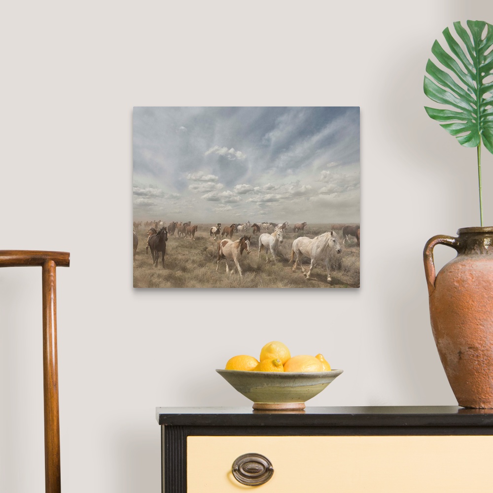 A traditional room featuring Photograph of a herd of wild horses moving along a dry landscape.