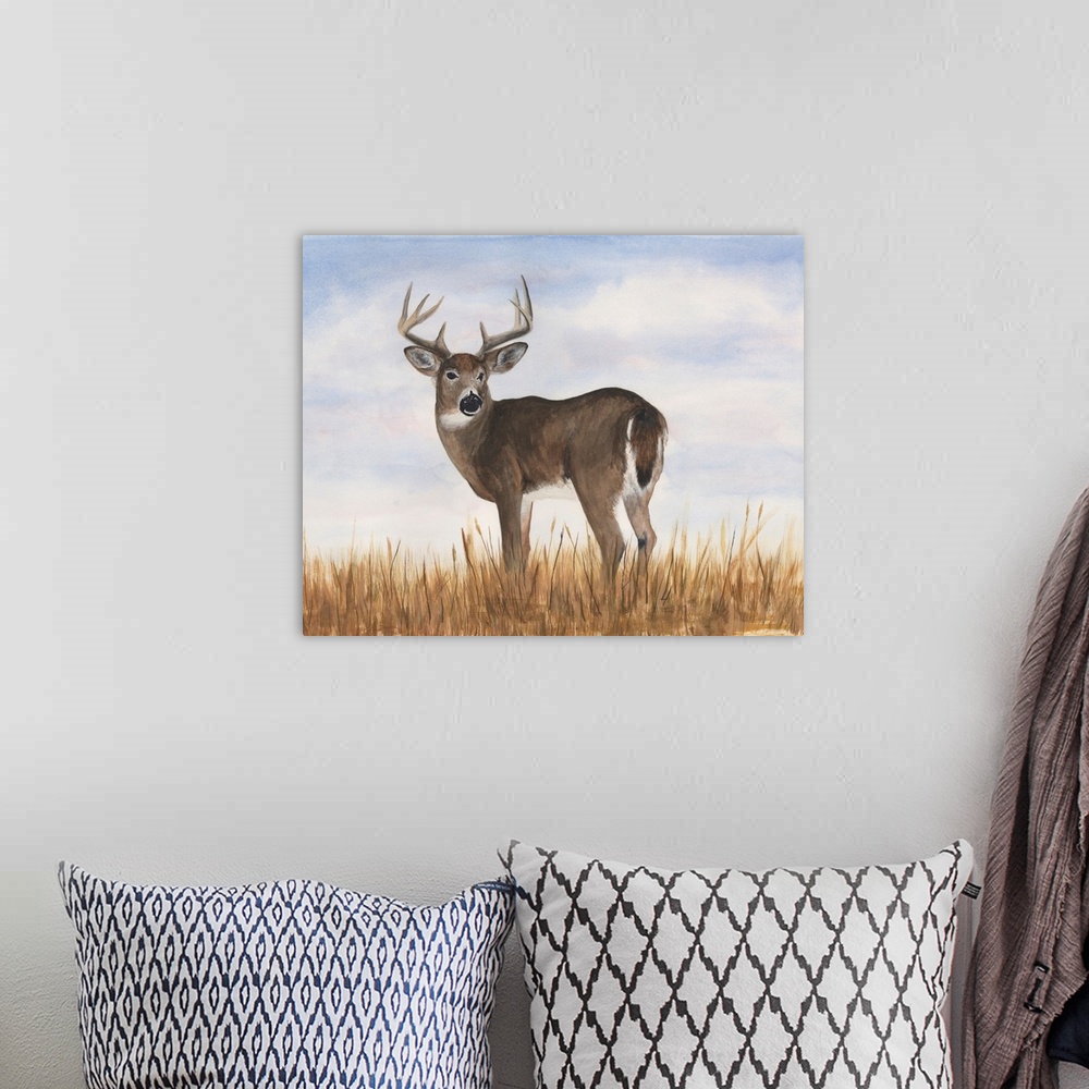 A bohemian room featuring Big Sky Whitetail I